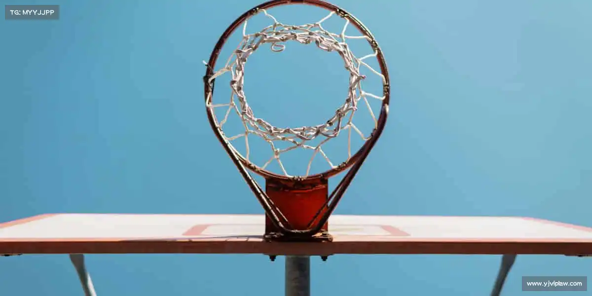 为什么选择我们